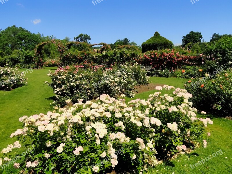 Elizabeth Park Hartford Connecticut Landscape Scenic