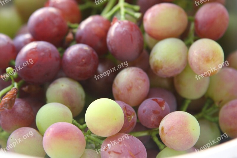 Grapes Fruit Fruit Bowl Free Photos