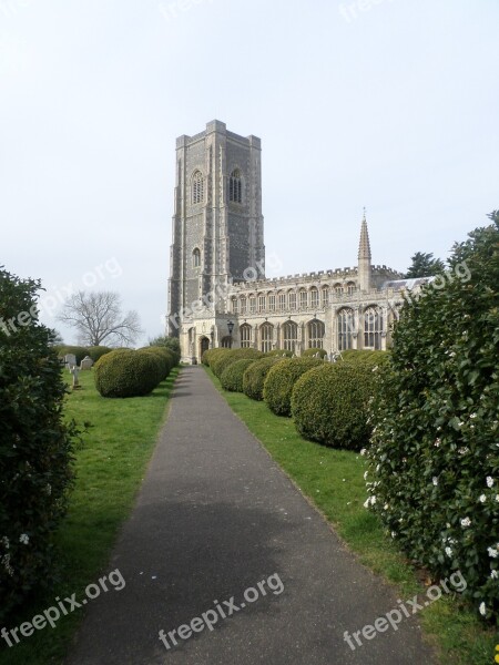 Lavenham Church Church Cathedral Yews Yew Tree