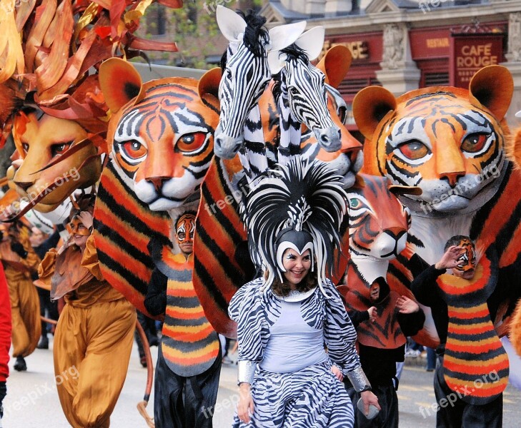 Tiger Mask Costume Parade Face