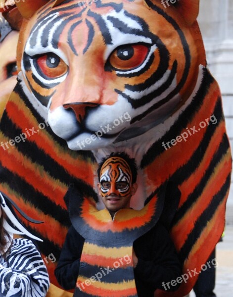 Tiger Mask Costume Parade Face