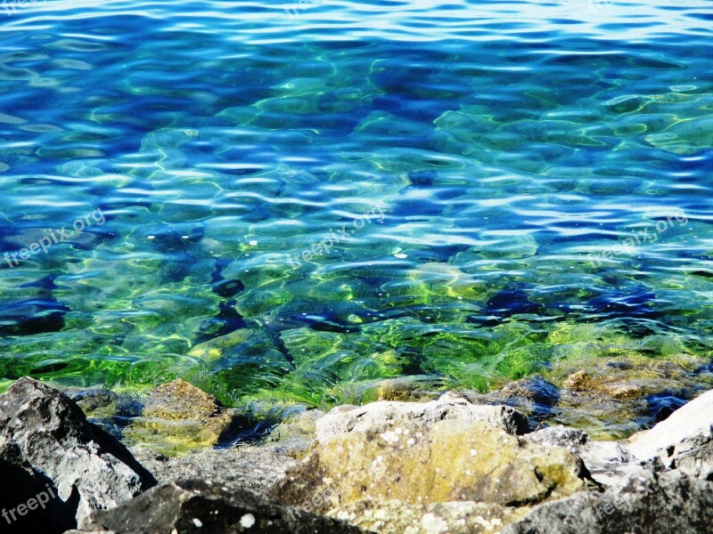 Lake Constance Water Surface Wave Bank Lakeside