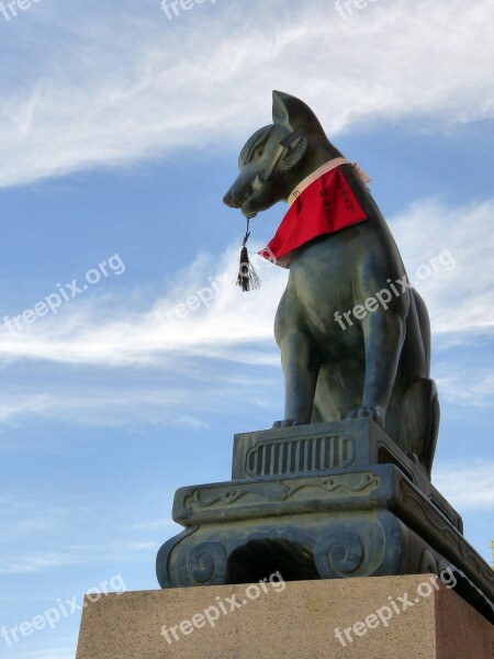 Shrine Japan Cat Kyoto Prefecture Buddhist Temple