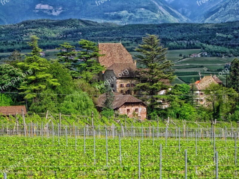 Germany Vineyard Buildings House Home