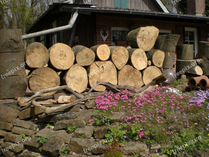 Wood Strains Timber Holzstapel Firewood