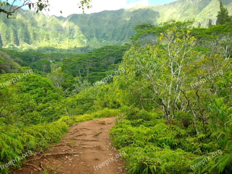 Hawaii Hiking Path Pathway Trail