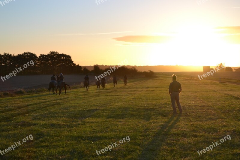 Racehorses Horses Training Morning Lambourn