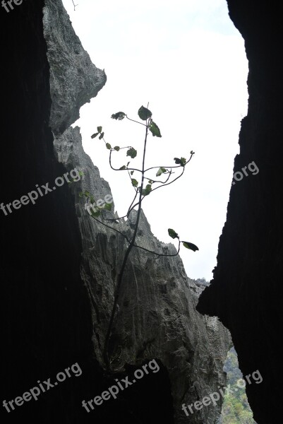 Rocks Caves Limestone Free Photos