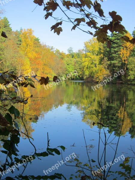 Lake Autumn Mirroring Leaves Water