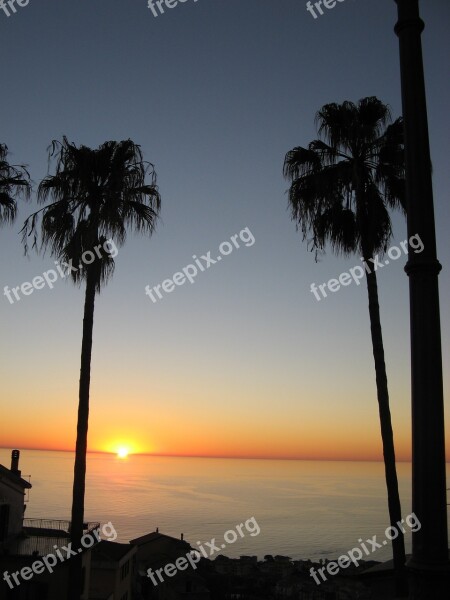 Calabria Sunset Sea Palms Shadows