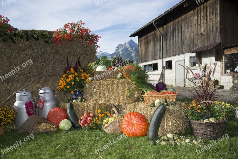 Thanksgiving Fruits Festival Vegetables Autumn