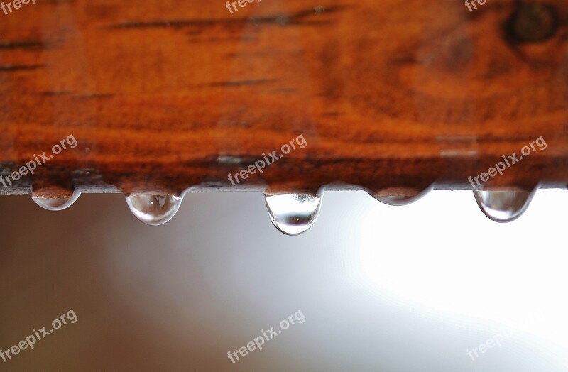 Macro Background Drop Water Drops Drop Of Water