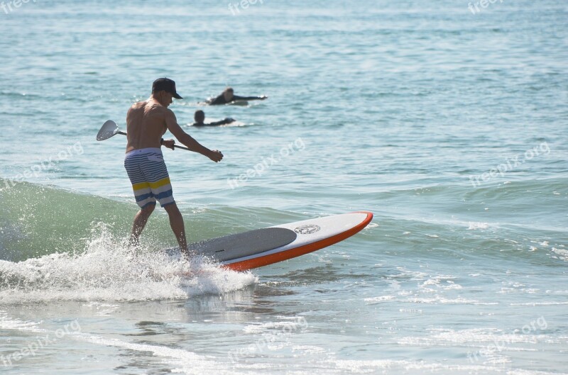 Surfing Paddle Board Ocean Man Free Photos