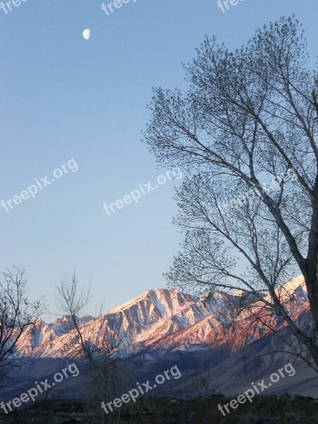 Mountains Trees Moon Snow Peaks