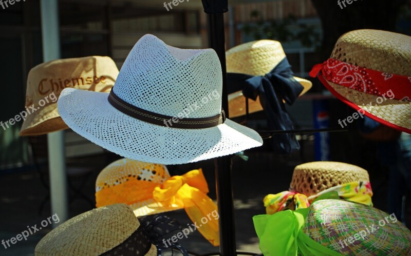 Sun Protection Hat Straw Hat Headwear Coneflower