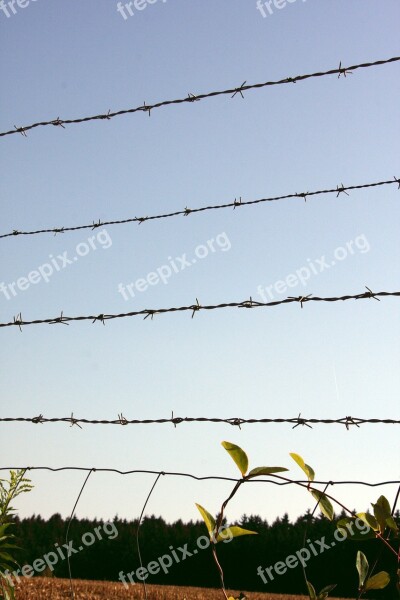 Barbed Wire Fence Barbed Wire Metal Fence Iron