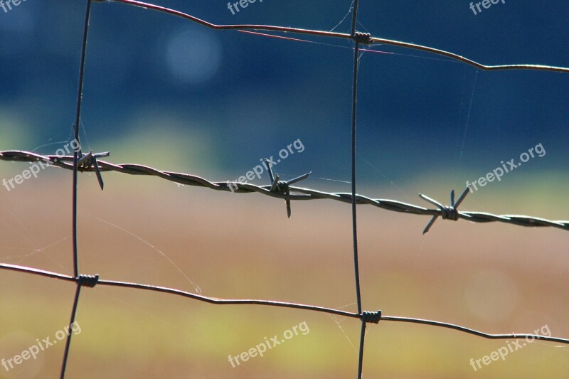 Barbed Wire Wiring Security Thorn Fence