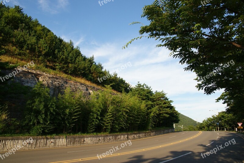 Road Gil Forest Landscape Nature