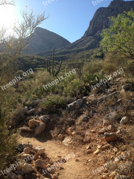 Desert Trail Arizona Free Photos