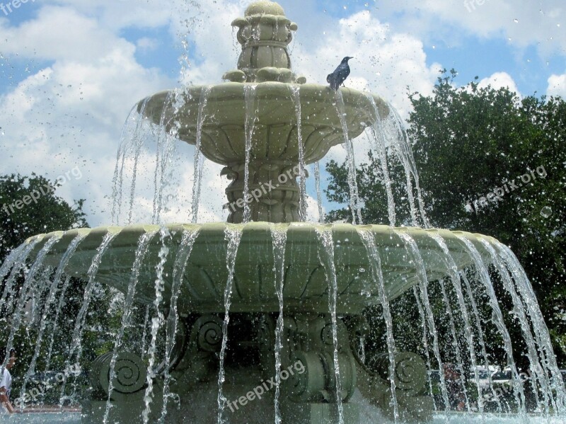 Water Fountain Water Fountain Bird Crow