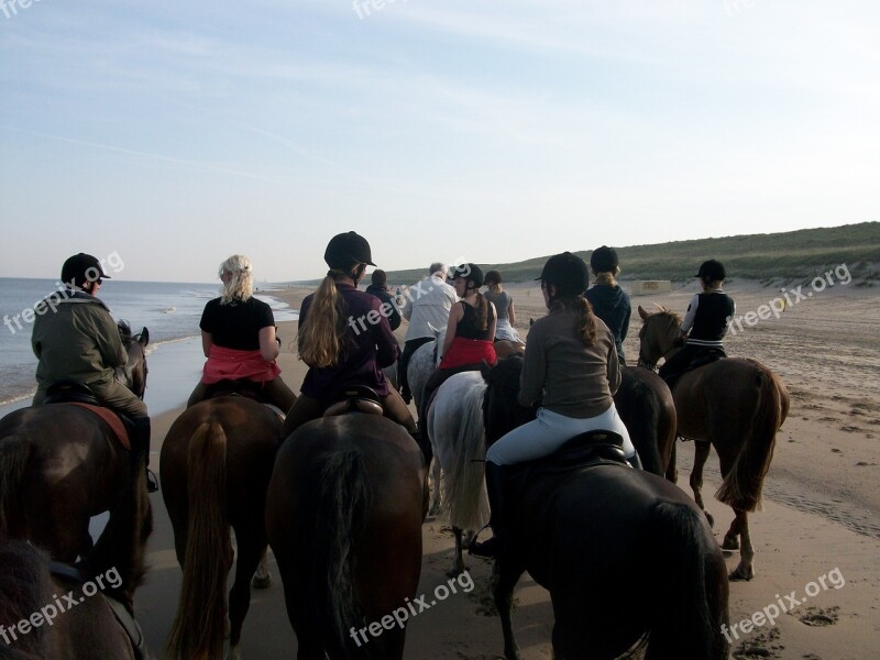 Horses Beach Beach Ride Spring Cosy