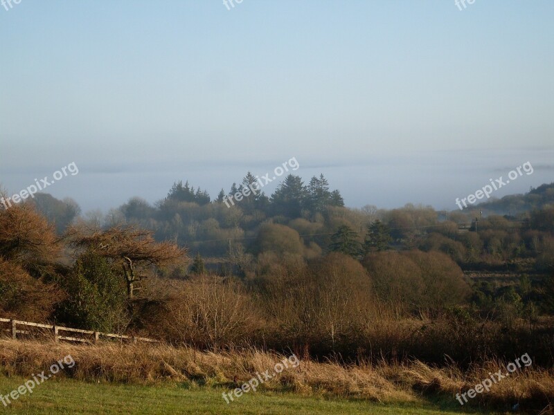 County Sligo Countryside Forest Landscape Sligo