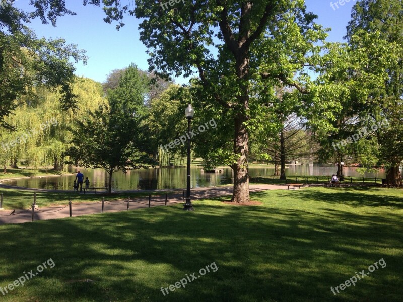 Park Boston Lake Outdoors Trees