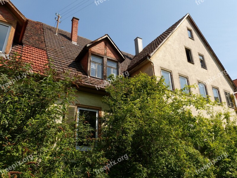 House Building Roof Plant Haunting