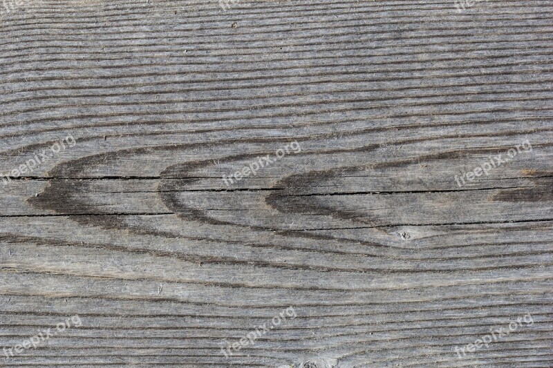 Tree Board Gray Old Pine Tree Plank