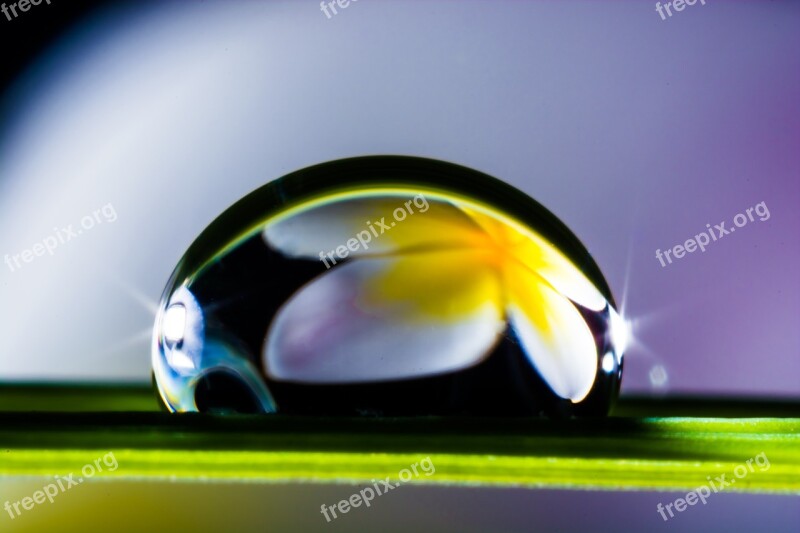 Drop Of Water Drip Blade Of Grass Blossom Bloom