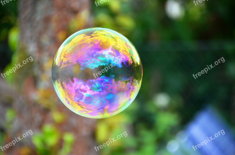 Soap Bubble Floats Color Iridescent Free Photos