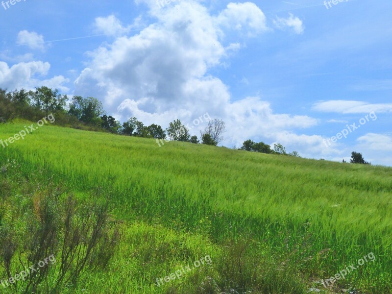 Landscape Nature Fields Field Promenade