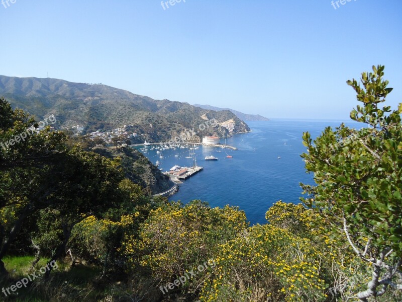 Catalina California Bay Free Photos