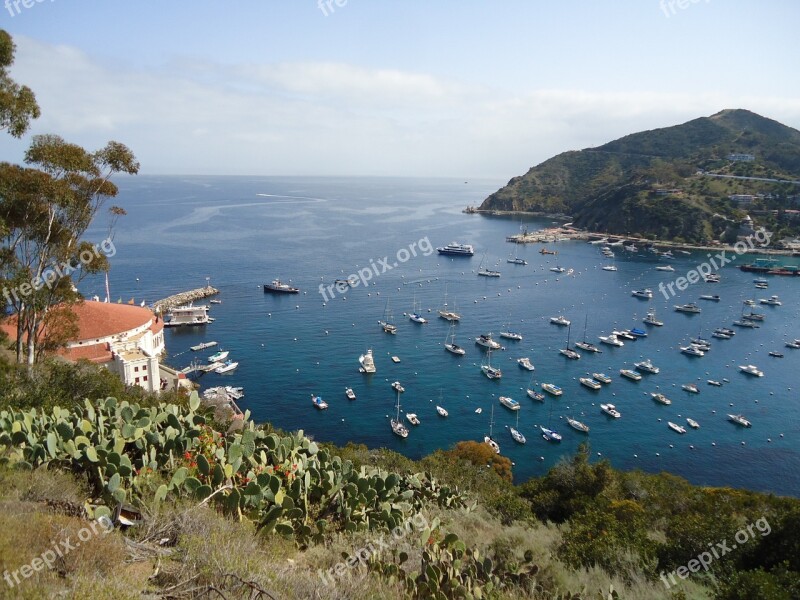 Catalina California Bay Free Photos