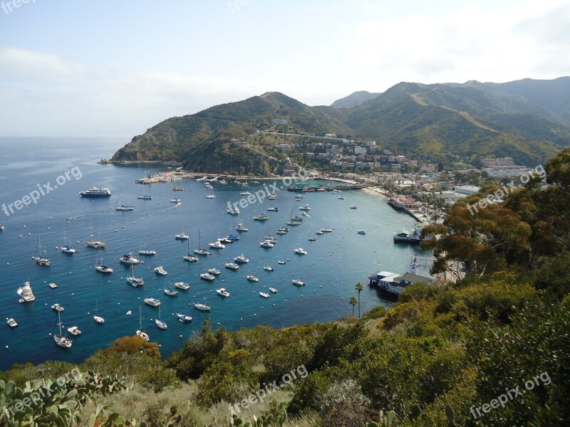 Catalina California Bay Free Photos