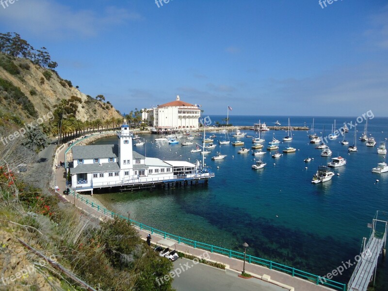 Catalina California Bay Free Photos