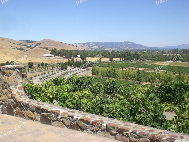 Winery Sonoma California Free Photos