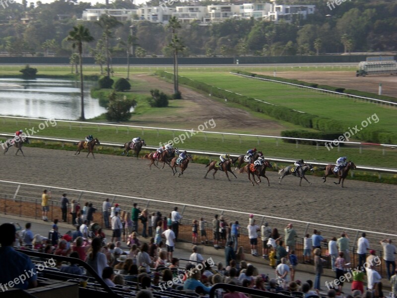 Horse Races Jockey Free Photos