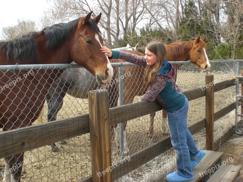 Horse Girl Friends Free Photos