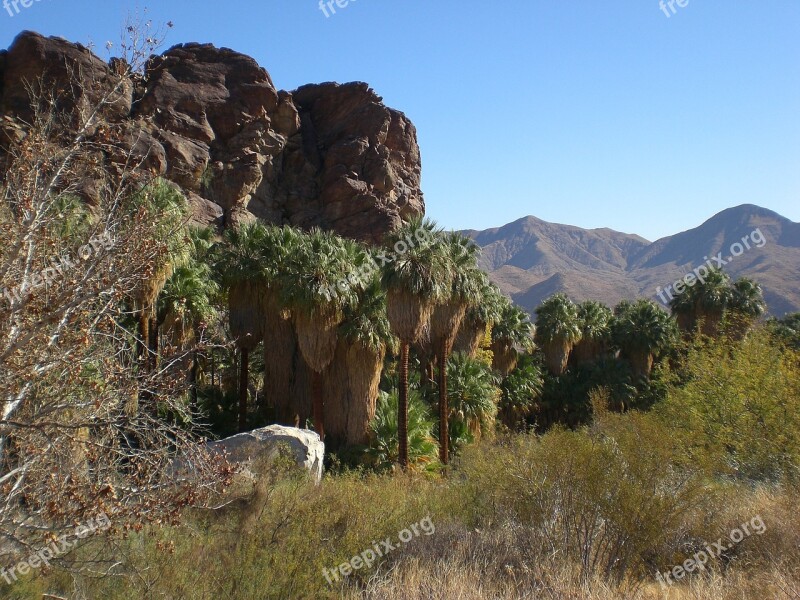 Palm Canyon California Desert Free Photos