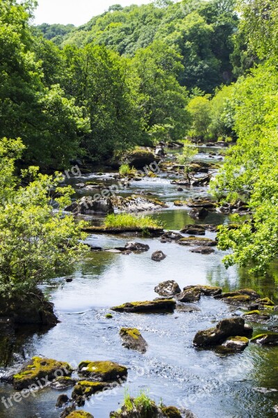 River Water Green Trees Stream