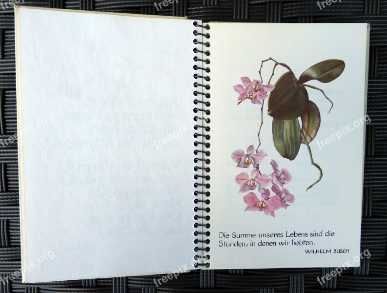 Diary Flower Notebook Notes Write Down