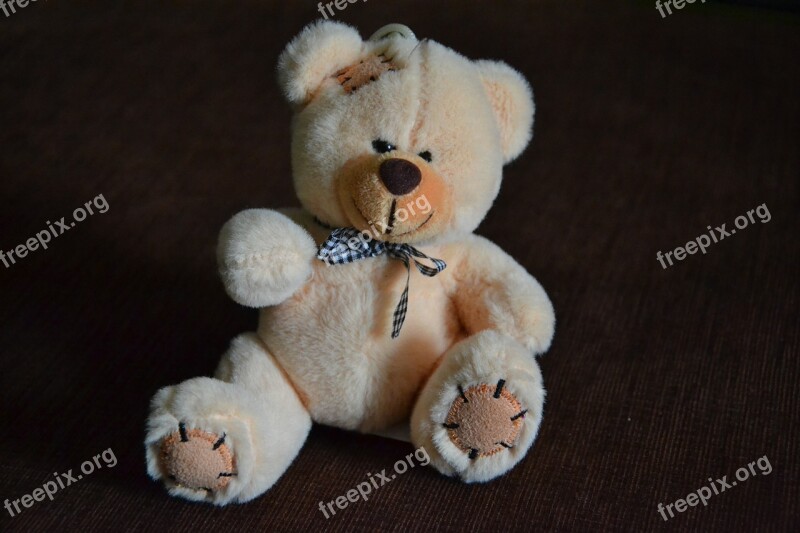 Teddy Bear Bears Misiak Plush Toy