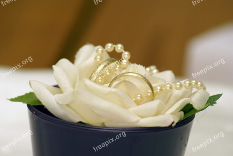 Wedding Rings Close Up Marriage Rose Bloom Beads