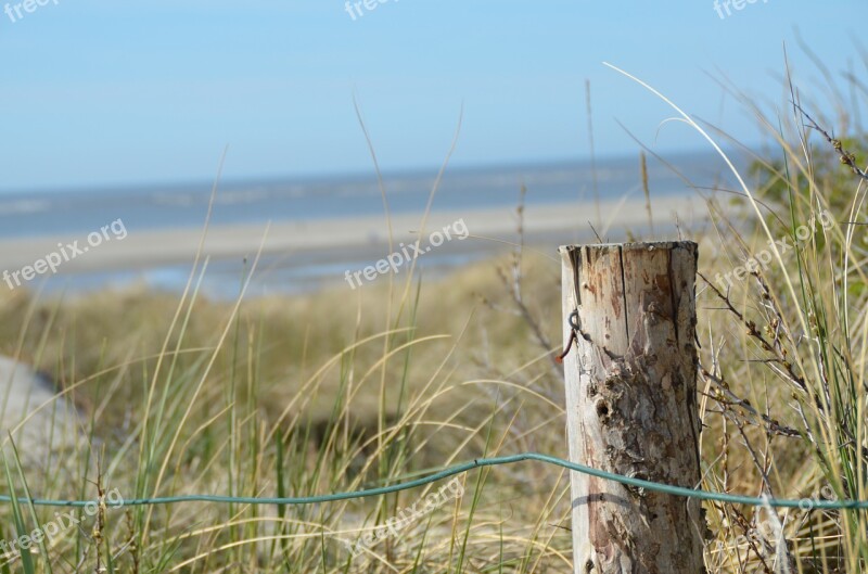 Pile Dune Sand Sea Free Photos