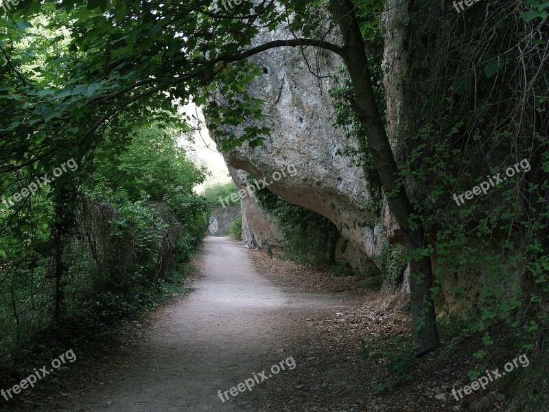 Nature Mountain Trail Basin Spain