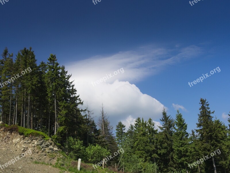 Cloud Mountains Forest View Landscape