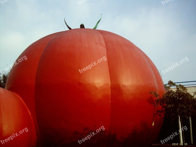 Tomato Red Food Model Free Photos