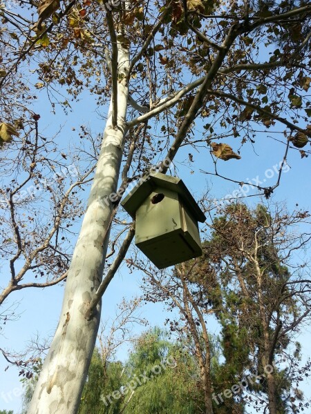 Bird Nest Birdhouse Tree Free Photos