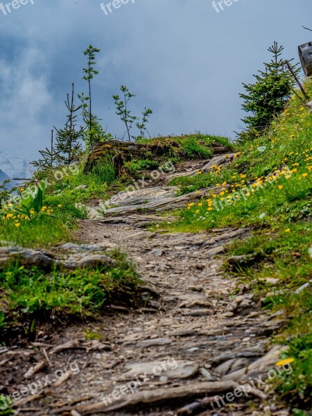 Away Glockner View Mountains Austria Salzburger Land